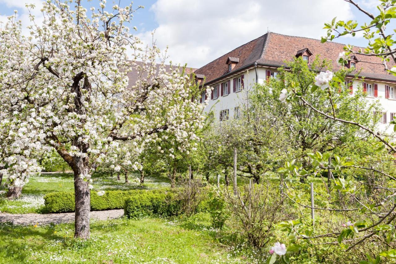 Kloster Dornach / Basel Zewnętrze zdjęcie